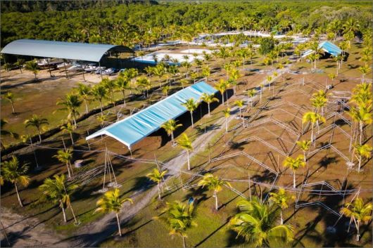 Foto: Henrique Santos