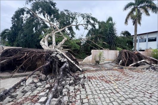 Foto: A Gazeta Bahia